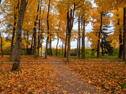 Александровский парк (Царское Село). Аллея в куртине "Грибок". Alexander Park (Tsarskoye Selo). An alley in the "Mushroom" curtain. (2021 год). Редакционное фото, фотограф Евгений Романов / Фотобанк Лори