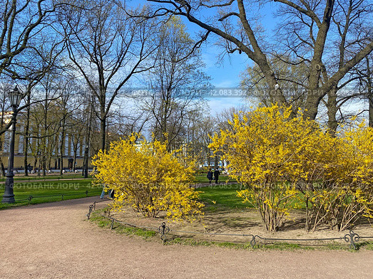 Александровский сад, Санкт-Петербург (2023 год). Стоковое фото, фотограф Мария Кылосова / Фотобанк Лори