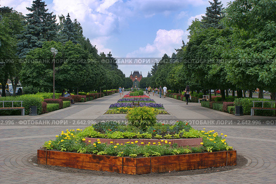 Аллея. улица Красная. Краснодар (2011 год). Стоковое фото, фотограф Андрей Емельяненко / Фотобанк Лори
