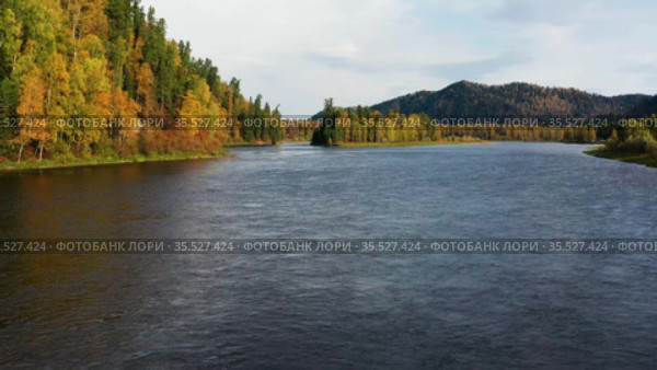 Алтайские горы осенью. Река Бия. Вид с воздуха. Altai mountains in autumn. Biya river. Aerial view. Стоковое видео, видеограф Евгений Романов / Фотобанк Лори