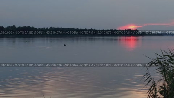 Алый закат над озером и рыба, выпрыгивающая из воды. Стоковое видео, видеограф Галина Миронова / Фотобанк Лори