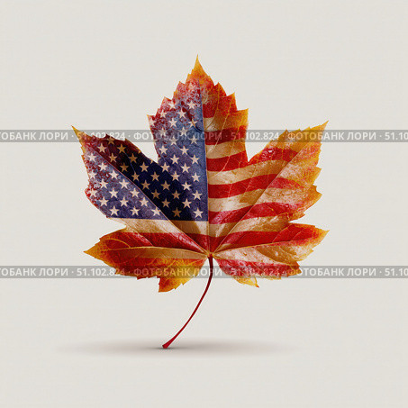 American Autumn Leaf. Стоковое AI-изображение, AI-художник Павлов Максим / Фотобанк Лори