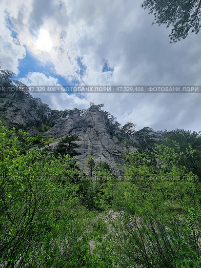 An impressive mountain landscape of Crimea. Below are dense green bushes and young trees, among which rocky soil can be seen. Above them rises a powerful rock with sharp ledges, covered with rare pine trees, as if they grew straight from the stone. The sky above the mountain is changeable: dramatic clouds with gaps of blue and soft sunlight breaking through the clouds. The atmosphere is powerful, alive, like the breath of the earth itself. (2021 год). Стоковое фото, фотограф Анна Кривицкая / Фотобанк Лори