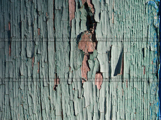 An old, weathered boards with peeling paint. Macro photo, shallow depth of field. Backgrounds, wood, weathered, lacquer, obsolete. Old wood texture. Стоковое фото, фотограф Александр Кротков / Фотобанк Лори