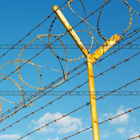 and cloudy sky in oman barbwire in the background . Стоковое фото, агентство Ingram Publishing / Фотобанк Лори