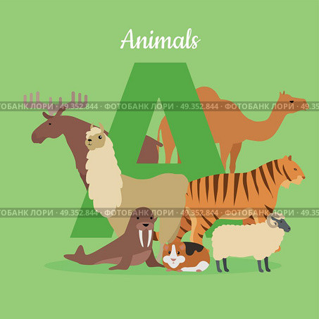 Animal alphabet vector. Flat style. ABC with animals. Camel, elk, llama, tiger, walrus, guinea pig, sheep standing on green background, letter A behind. For children s books, textbooks illustrating. Animal Alphabet Concept in Flat Design. Animal Alphabet Concept in Flat Design. Стоковая иллюстрация, агентство Ingram Publishing / Фотобанк Лори