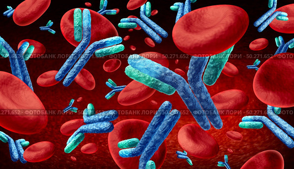 Antibody in the blood and Immunoglobulin concept as antibodies flowing inside a human body as a 3D illustration. Стоковое фото, агентство Ingram Publishing / Фотобанк Лори