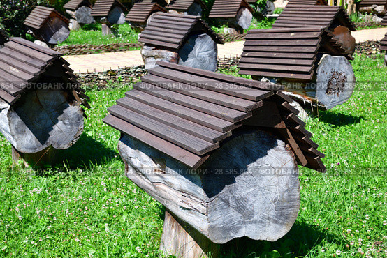 Apiary with bee hives in Abkhazia. Стоковое фото, фотограф Володина Ольга / Фотобанк Лори