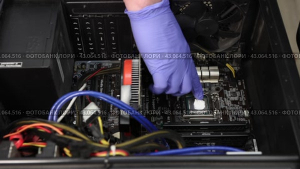 Applying thermal paste to a computer processor chip. High quality FullHD footage (2021 год). Редакционное видео, видеограф Владимир Григорьев / Фотобанк Лори