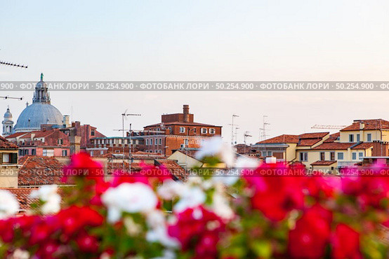 Architectural city skyline of Venice, Italy with historical houses with colorful blurred flowers on the foreground.. Historical urban sityscape with colored flowers on the forefront. Стоковое фото, агентство Ingram Publishing / Фотобанк Лори