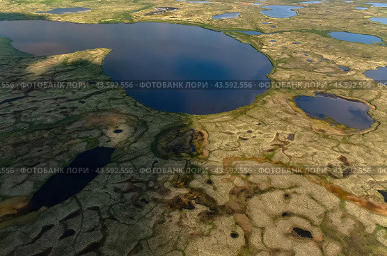 Arctic tundra in summer from an altitude of 2000 meters. Variety of colors and landscapes. The vastness of pristine nature. Shadow from clouds. Стоковое фото, фотограф Владимир Ендовицкий / Фотобанк Лори