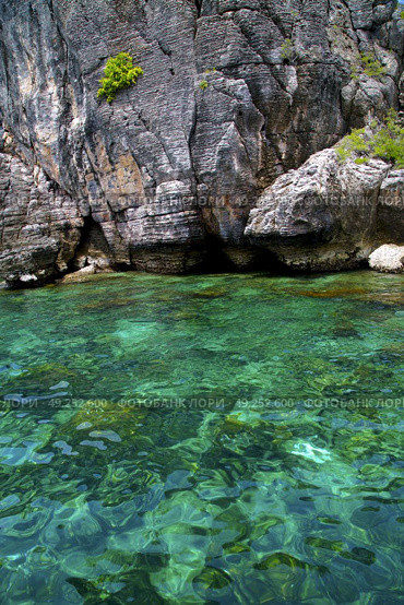 asia in the  kho phangan isles bay   rocks    thailand  and south china green sea  . Стоковое фото, агентство Ingram Publishing / Фотобанк Лори