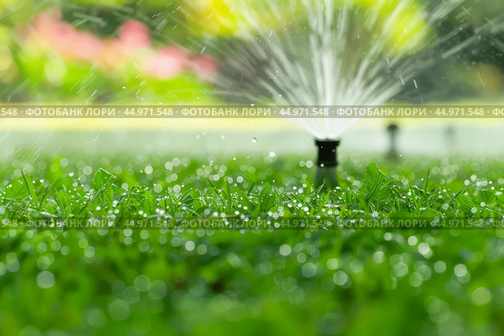 Automatic sprinkler watering green grass on sunny day. Стоковое AI-изображение, AI-художник Иван Рябоконь / Фотобанк Лори