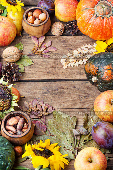 Autumn composing with pumpkin, fruit and fall leaves.Fall still life. Autumn harvest still life. Стоковое фото, агентство Ingram Publishing / Фотобанк Лори