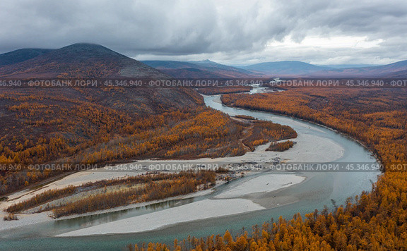 Autumn landscape. Aerial view of the river valley and mountains. Top view of the river and forest. Yellow larch trees. Beautiful northern nature. Ola river, Magadan Region, Siberia, Far East of Russia. Стоковое фото, фотограф Андрей Степанов / Фотобанк Лори