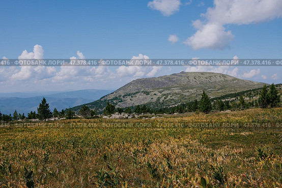 Autumn landscape in the mountains. Field yellow green grass, coniferous trees, rocky mountain and blue sky with clouds. Стоковое фото, фотограф Екатерина Якименко / Фотобанк Лори