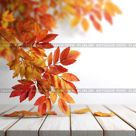 Autumn Leaves Wooden Surface. Стоковое AI-изображение, AI-художник Павлов Максим / Фотобанк Лори