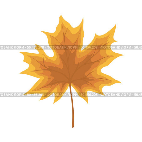 Autumn maple leaf. Leaf fall. Vector illustration. Стоковая иллюстрация, агентство Ingram Publishing / Фотобанк Лори