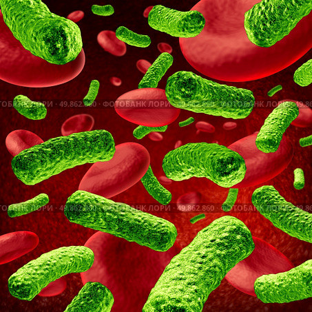 Bacteria Blood Infection or bacterial sepsis as a medical illustration representing an illness from green pathogens inside the human body attacking healthy red cells as a health care icon of disease and cure. Стоковое фото, агентство Ingram Publishing / Фотобанк Лори