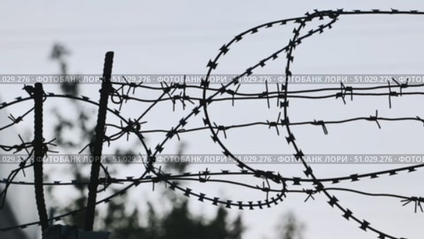 Barbed wire fence creating a boundary against a gray sky. Стоковое видео, видеограф Mikhail Davidovich / Фотобанк Лори