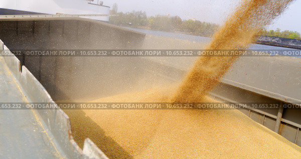 barge loading. Стоковое фото, фотограф daniel guffanti / Smarterpix / Фотобанк Лори