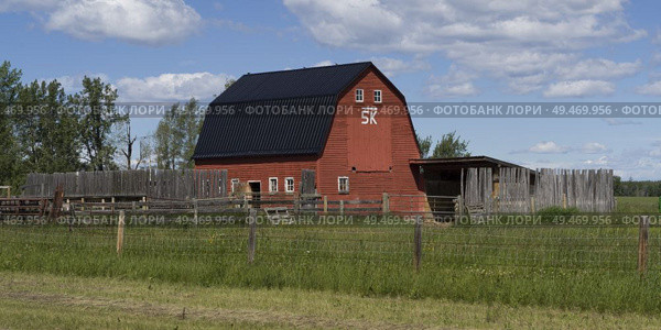 Barn in field, Alberta Highway 22, Alberta, Canada. Стоковое фото, агентство Ingram Publishing / Фотобанк Лори