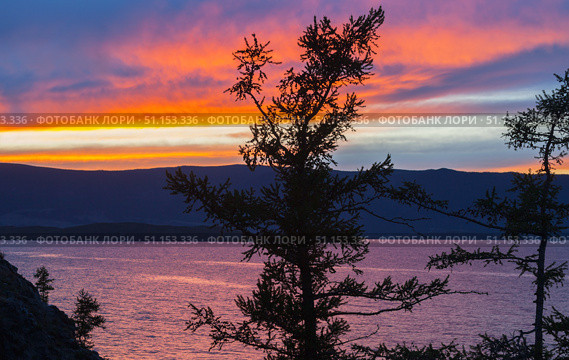 Beautiful bright sunset sky with pink clouds over shore of Baikal Lake after rain. View of Small Sea and rocky coast of Olkhon Island with silhouettes of larch trees. Scenic landscape. Natural background. Стоковое фото, фотограф Виктория Катьянова / Фотобанк Лори