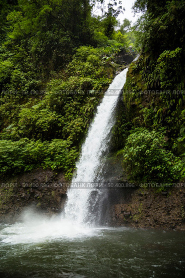 beautiful flowing waterfall rainforest costa rica. Стоковое фото, агентство Ingram Publishing / Фотобанк Лори