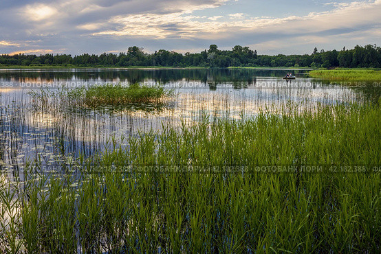 Beautiful forest lake. Boat with fishermen in the distance. Outdoor recreation and fishing on the lake. Summer travel and vacation in the countryside. Стоковое фото, фотограф Андрей Степанов / Фотобанк Лори
