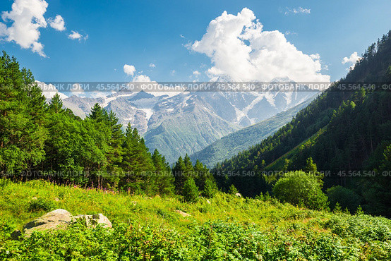 Beautiful high mountain landscape with green slopes, pine trees and a mountain peak in the background. Caucasus, Elbrus region. Стоковое фото, фотограф Константин Лабунский / Фотобанк Лори