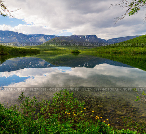 Beautiful landscape of a mountain lake Small Vudyavr with reflection of clouds in the water. In the foreground are flowers. Khibiny, Murmansk region, Kola Peninsula, Russia. Стоковое фото, фотограф Михаил Аккуратoв / Фотобанк Лори