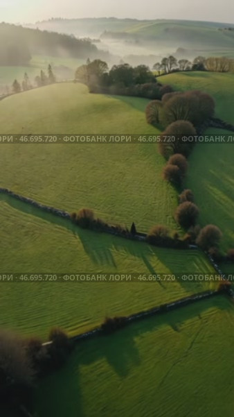 Beautiful, lush green field with a few trees scattered throughout. Стоковое AI-видео, аниматор Sergey Grishin / Фотобанк Лори