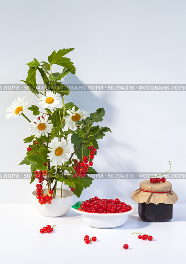 Beautiful summer still life with red currants in a bowl, a jar of homemade jam and a bouquet of daisies and currant branches on a white background. Growing organic garden berries concept. Стоковое фото, фотограф Виктория Катьянова / Фотобанк Лори