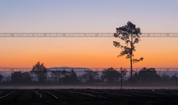 beautiful sunset over agricultural site. Стоковое фото, агентство Ingram Publishing / Фотобанк Лори