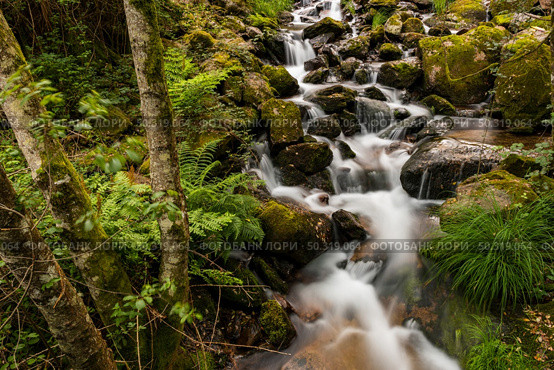 Beautiful water stream in Gresso river Portugal. Long exposure smooth effect. Стоковое фото, агентство Ingram Publishing / Фотобанк Лори