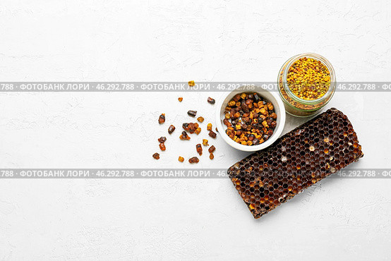 Beebread and pollen with honeycomb on white background. Стоковое фото, фотограф Pixel_shot / Фотобанк Лори