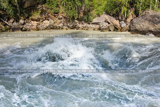 Behemoth — the rapid on the mountain the Chuya river in the Altai Republic near the mouth of the river Agulak. Nature Of Altai. The boiling water of a mountain river. Бегемот — стремнина на горной реке Чуя в Республике Алтай недалеко от устья реки Агулак. Природа Алтая. Кипящая вода горной реки. Стоковое фото, фотограф Мария Кошелева / Фотобанк Лори