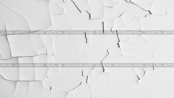 Белая стена с растрескавшейся и облупившейся краской. Черно-белая текстура. Крупные хаотичные трещины. Отслаивающаяся штукатурка. Монохромный абстрактный фон. Стоковое фото, фотограф Маргарита Лир / Фотобанк Лори