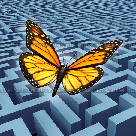 Believe in yourself concept and metaphore for success with a monarch butterfly on a journey flying over a complicated maze or labyrinth to rise above adversity and obstacles as a human lifestyle and business idea. Стоковое фото, агентство Ingram Publishing / Фотобанк Лори