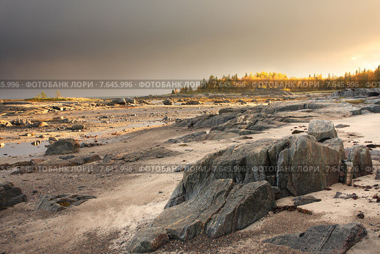Белое море. Стоковое фото, фотограф Александр Коротков / Фотобанк Лори