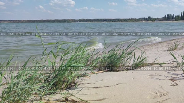 Берег Азовского моря. Стоковое видео, видеограф Ирина / Фотобанк Лори