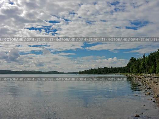 Берег Белого моря, остров Горелый, Керетская губа, Кандалакшкий залив, Карелия. Солнечный день в июле. Стоковое фото, фотограф Сергей Рыбин / Фотобанк Лори