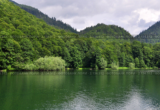 Берег Биоградского озера, Черногория (2010 год). Стоковое фото, фотограф Инга Кондрашова / Фотобанк Лори