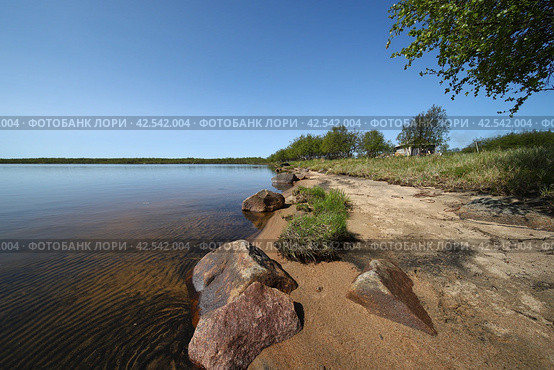 Берег озера Колмозеро. Мурманская область. Стоковое фото, фотограф Анна Зеленская / Фотобанк Лори