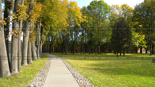 Бетонная дорожка в городском парке. Стоковое фото, фотограф Константин Кург / Фотобанк Лори