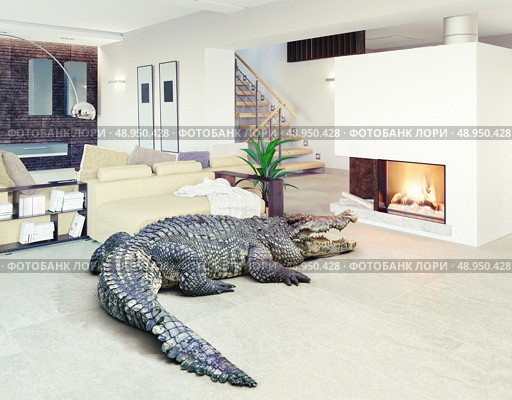 Big crocodile relax in the luxury interior (photo and cg elements combination) Стоковое фото, агентство Ingram Publishing / Фотобанк Лори