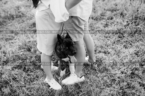 Big dog for a walk with a guy and a girl on the green prairie. Стоковое фото, агентство Ingram Publishing / Фотобанк Лори