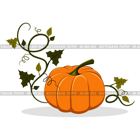 Big ripe pumpkin with swirly and leafy stem that twines round isolated vector illustration on white background. Organic fruit of gourd plant.. Ripe Pumpkin with Swirly Leafy Stem Illustration. Стоковая иллюстрация, агентство Ingram Publishing / Фотобанк Лори