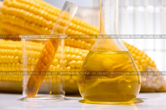 Biofuel or Corn Syrup, gasoline, energy, environmentalist. Стоковое фото, агентство Ingram Publishing / Фотобанк Лори