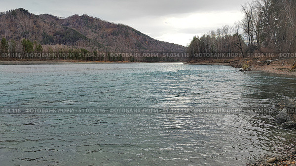 Бирюзовая Катунь, река поздней осенью, пейзаж, Республика Алтай. Turquoise Katun, river in late autumn, landscape, Altai Republic. Стоковое фото, фотограф Денис Баданин / Фотобанк Лори